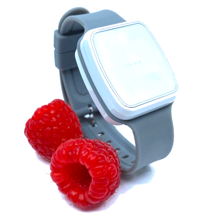 teleassistance-detecteur-de-chute-assystel-bracelet-gris-perle